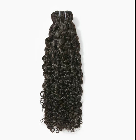 Burmese Curly